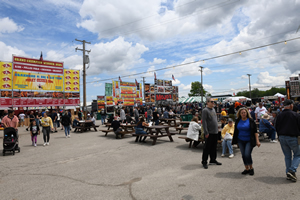 2025 Berea Rib image 